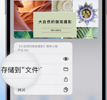 向阳apple维修中心分享iPhone文件应用中存储和找到下载文件