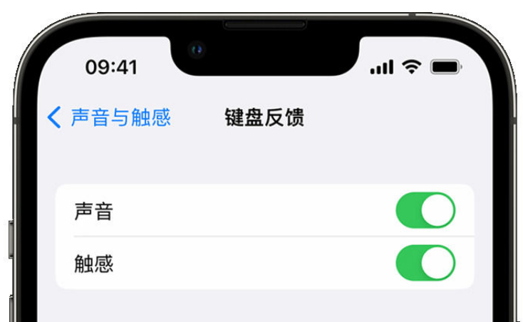 向阳苹果手机维修分享iPhone 14触感键盘使用方法 