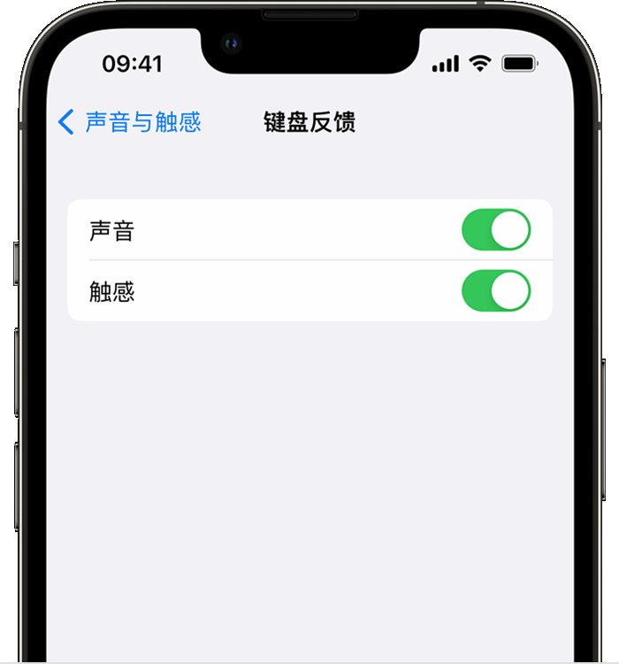 向阳苹果14维修店分享如何在 iPhone 14 机型中使用触感键盘 