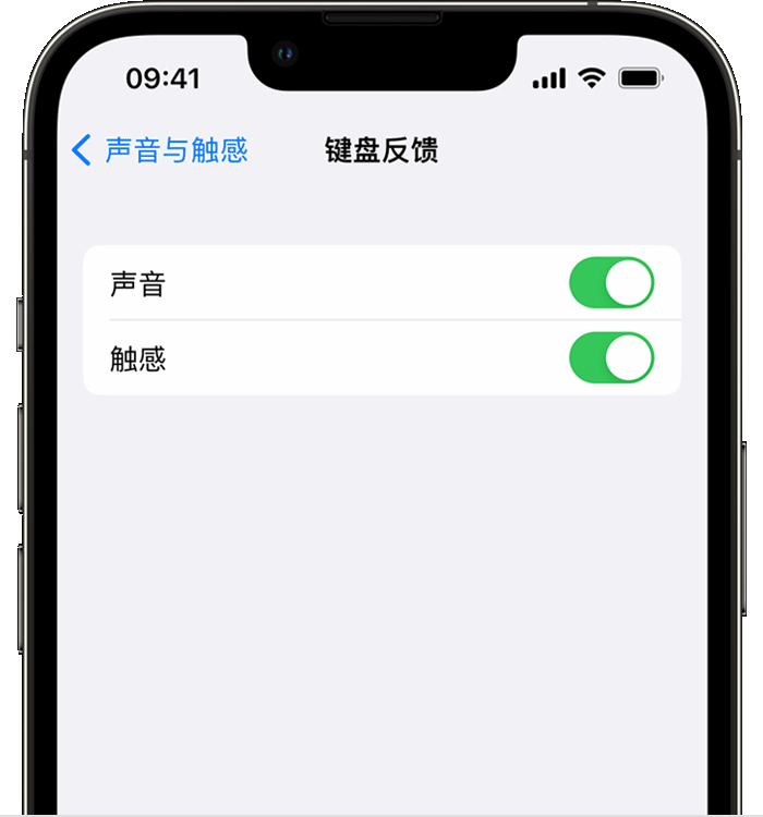 向阳苹果14维修分享iPhone 14 系列机型如何开启键盘声音或触感反馈 