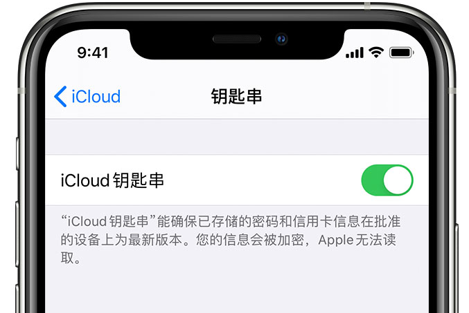 向阳苹果手机维修分享在 iPhone 上开启 iCloud 钥匙串之后会储存哪些信息 