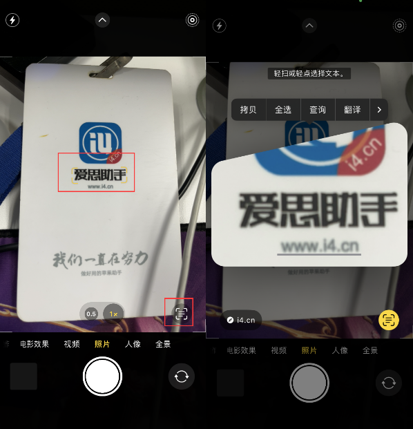 向阳苹果手机维修分享升级iOS 16后如何通过相机翻译文本 