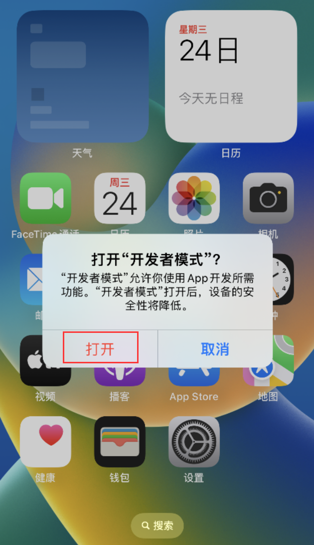 向阳苹果手机维修分享如何打开开发者模式 