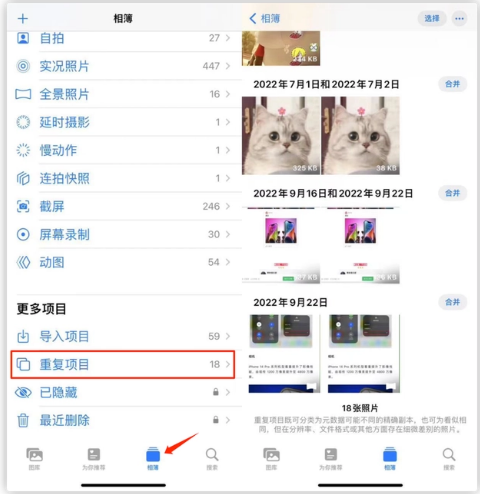 向阳苹果手机维修分享iOS 16 中相册重复项目功能使用方法 