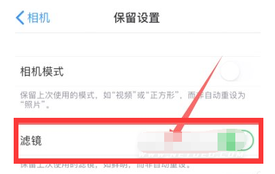 向阳苹果13维修分享iPhone13拍照有绿点是怎么回事 
