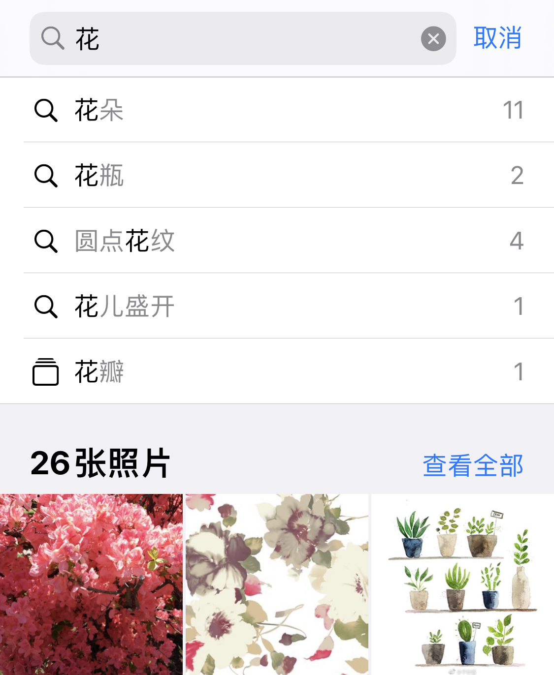 向阳苹果手机维修分享iPhone 小技巧 