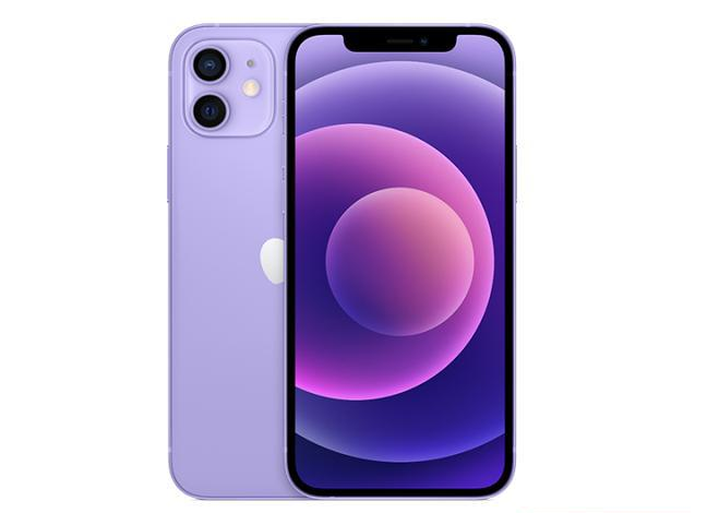 向阳苹果手机维修分享现阶段要不要入手紫色版iPhone12 