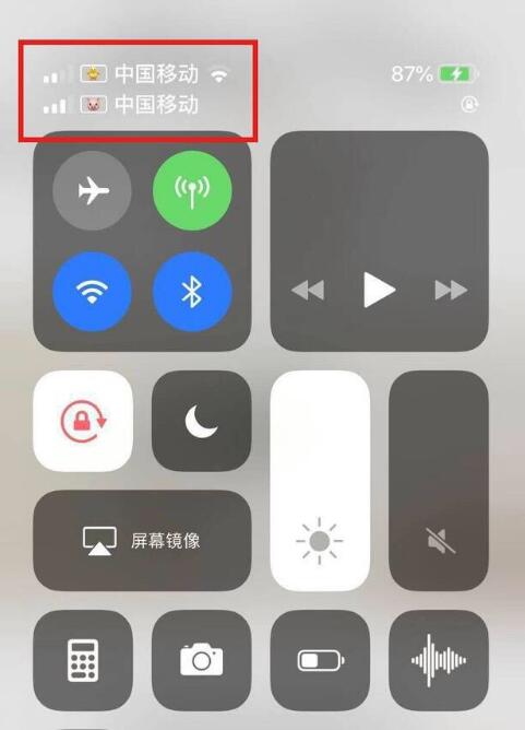 向阳苹果手机维修分享为 iPhone 12 双卡设置标签 