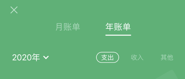 向阳苹果手机维修分享如何在 iPhone 上查看支付宝和微信年支出账单 
