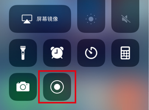 向阳苹果手机维修分享iPhone12录屏方法教程 