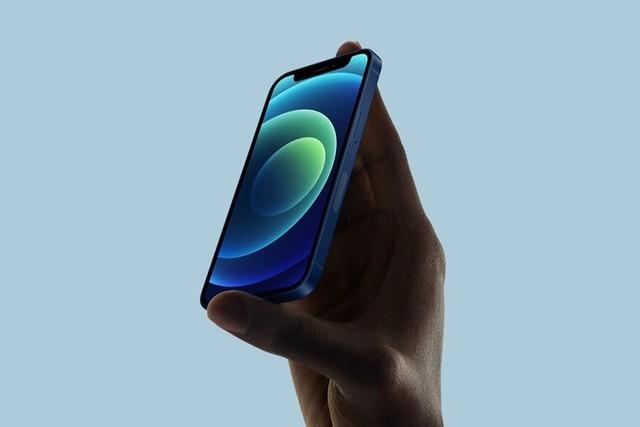 向阳苹果手机维修分享iPhone 12 mini辐射很大吗 