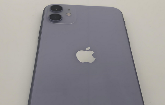 向阳苹果11系统维修分享iPhone11手机系统崩溃无法开机如何解决